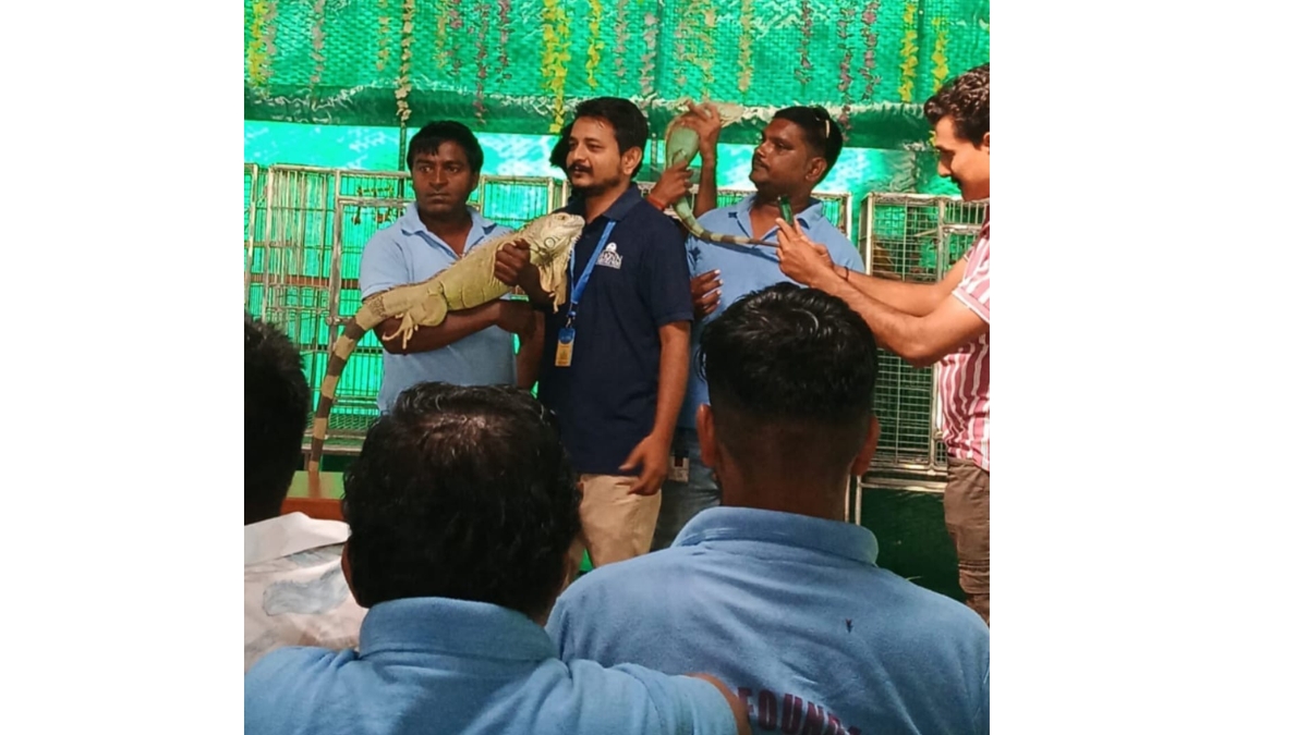 Dhun Charitable Trust, Dharmaj, and Daya Foundation, Karamsad Jointly Organize Unique Animal Welfare Program Dhun Charitable Trust, Dharmaj, and Daya Foundation, Karamsad Jointly Organize Unique Animal Welfare Program
